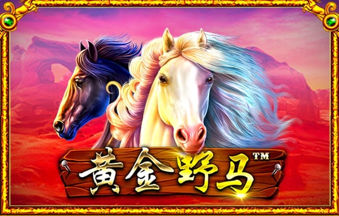 K8体育官网